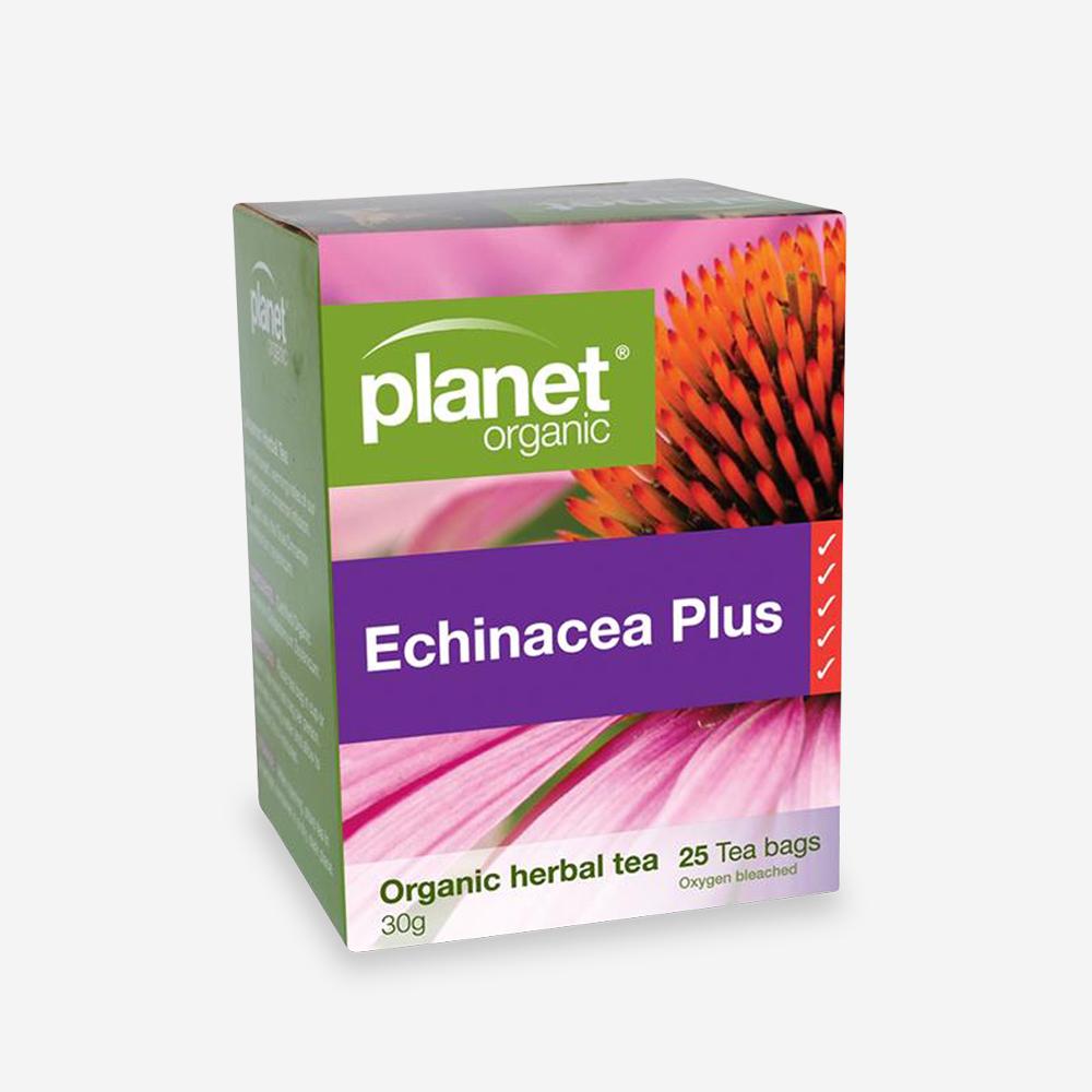 Echinacea Plus Tea Bags